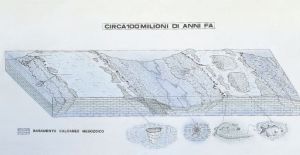 100 Milioni